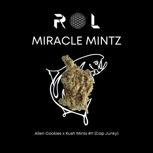 miracle mintz organic cannabis marijuana strain from rhythm of life in massachusetts