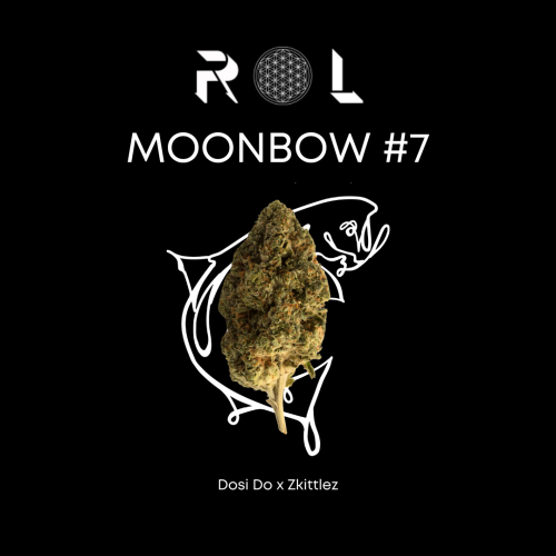 moonbow #7 hybrid organic cannabis strain dosi do and zkittlez grown by rhythm of life in massachusetts