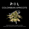 colombian apricots hybrid marijuana cannabis strain grown organically by rhythm of life in uxbridge massachusetts