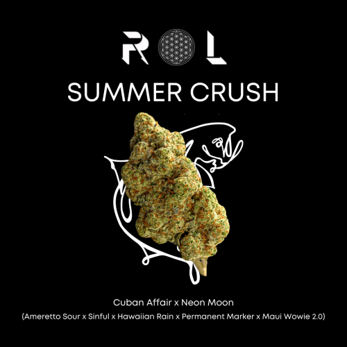 summer crush rhythm of life hybrid organic luxury marijuana cannabis flower for wholesale in 2025 from uxbridge massachusetts