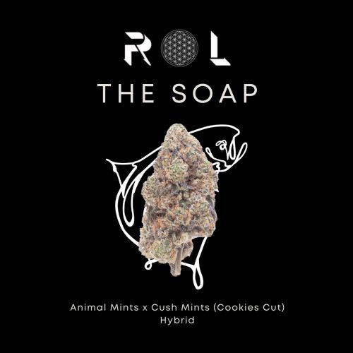 the soap product menu photo for hybrid cannabis strain from rhythm of life
