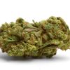 cali burger cannabis organic hybrid strain grown locally organically by rhythm of life