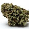 mac 1 cannabis strain organically locally grown in massachusetts uxbridge by rhythm of life hybrid