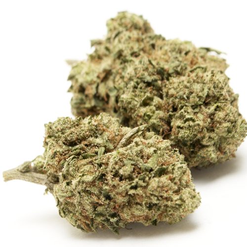 hybrid cannabis strain grown by rhythm of life disco fox for smooth inhalation